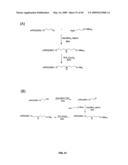 Compositions Containing, Methods Involving, and Uses of Non-Natural Amino Acids and Polypeptides diagram and image