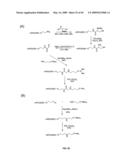 Compositions Containing, Methods Involving, and Uses of Non-Natural Amino Acids and Polypeptides diagram and image