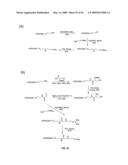 Compositions Containing, Methods Involving, and Uses of Non-Natural Amino Acids and Polypeptides diagram and image