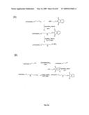 Compositions Containing, Methods Involving, and Uses of Non-Natural Amino Acids and Polypeptides diagram and image