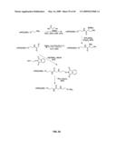 Compositions Containing, Methods Involving, and Uses of Non-Natural Amino Acids and Polypeptides diagram and image