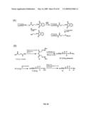 Compositions Containing, Methods Involving, and Uses of Non-Natural Amino Acids and Polypeptides diagram and image