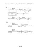 Compositions Containing, Methods Involving, and Uses of Non-Natural Amino Acids and Polypeptides diagram and image