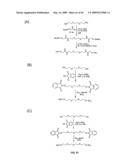 Compositions Containing, Methods Involving, and Uses of Non-Natural Amino Acids and Polypeptides diagram and image