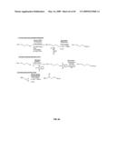 Compositions Containing, Methods Involving, and Uses of Non-Natural Amino Acids and Polypeptides diagram and image