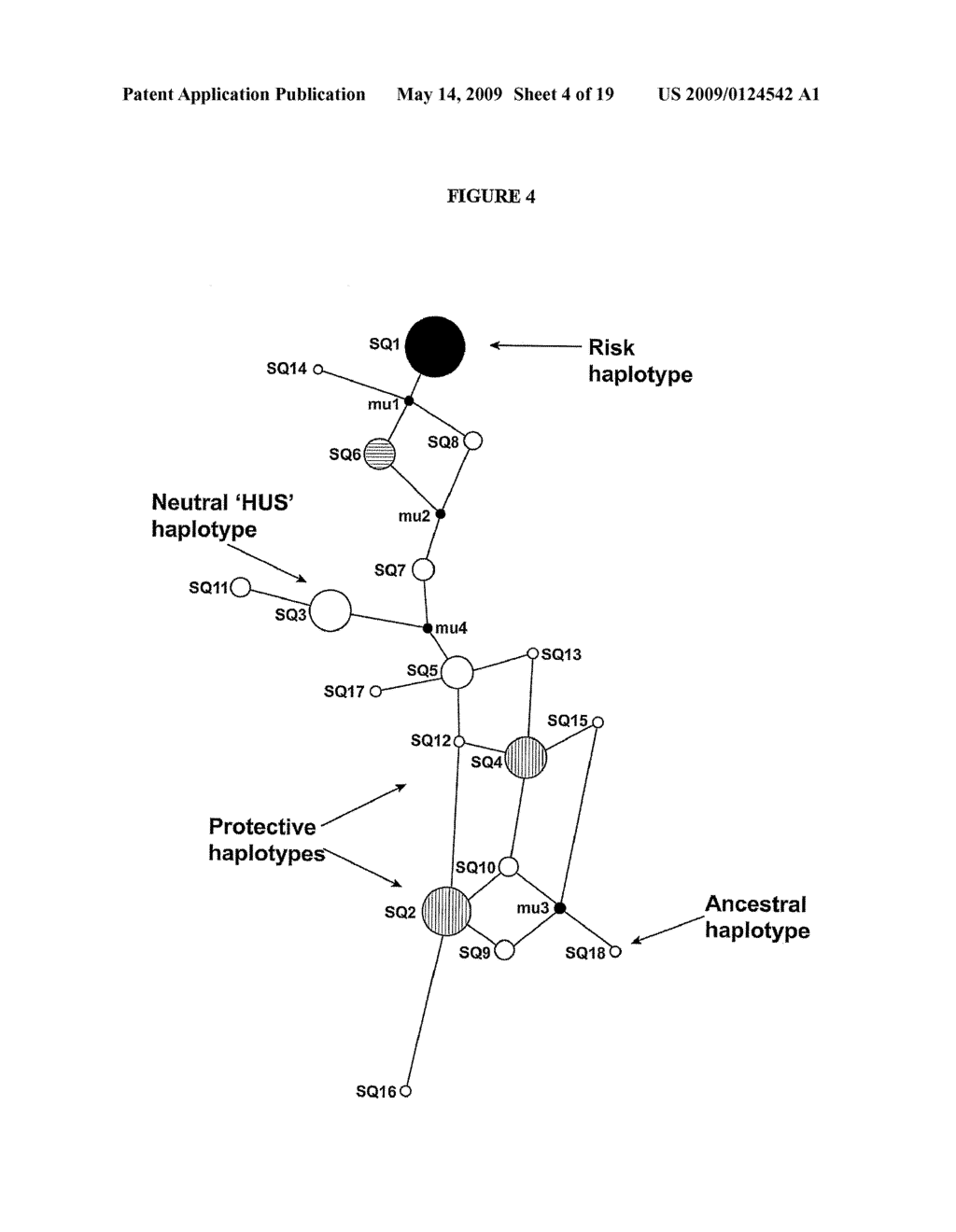 METHODS AND REAGENTS FOR TREATMENT AND DIAGNOSIS OF AGE-RELATED MACULAR DEGENERATION - diagram, schematic, and image 05