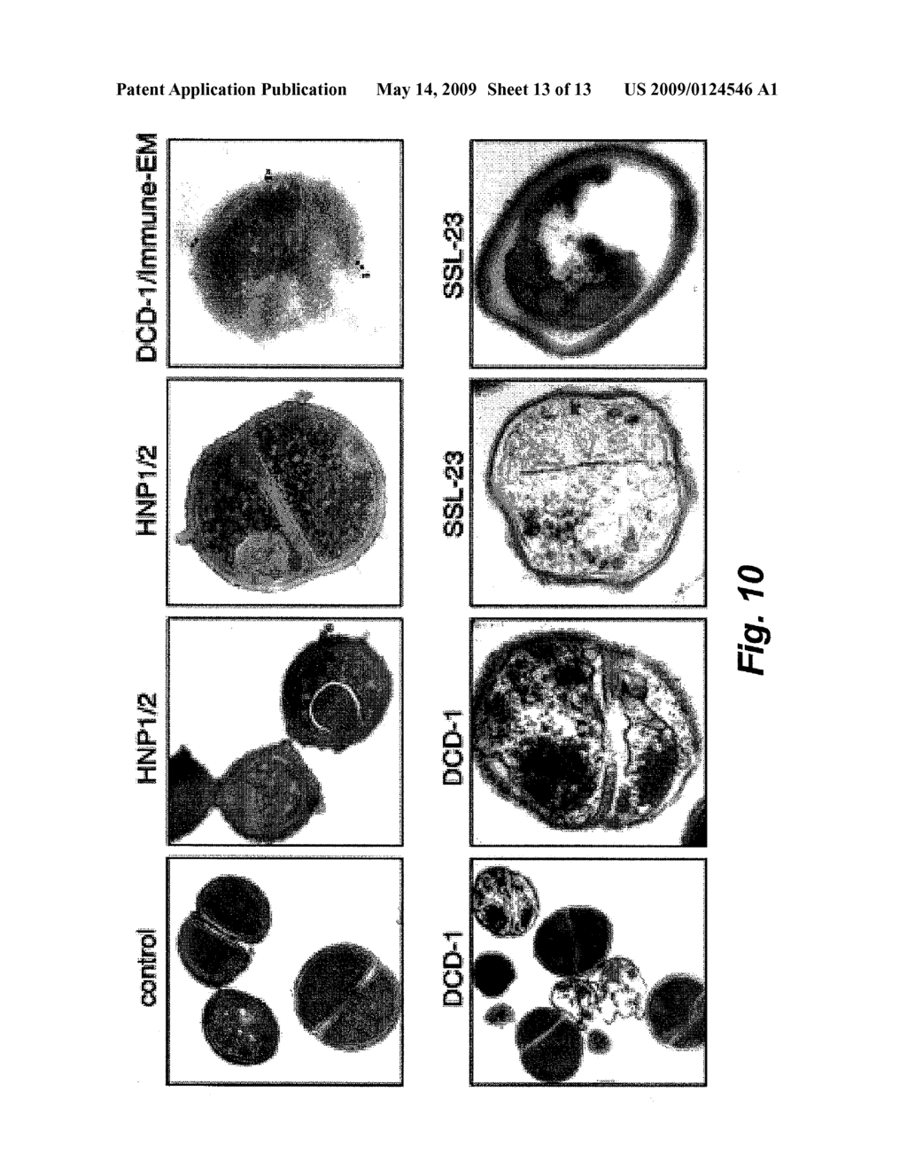 Antimicrobially Active Peptides - diagram, schematic, and image 14