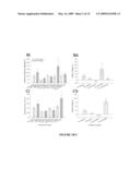 COMPOSITIONS AND METHODS FOR TREATING NEURAL ANOXIA AND SPREADING DEPRESSION diagram and image