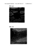 THERMOPLASTIC ELASTOMERIC COMPOSITION diagram and image