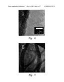 CONDENSATION POLYMERS HAVING COVALENTLY BOUND CARBON NANOTUBES diagram and image