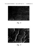 CONDENSATION POLYMERS HAVING COVALENTLY BOUND CARBON NANOTUBES diagram and image