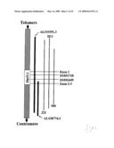 hTERT GENE EXPRESSION REGULATORY GENE diagram and image