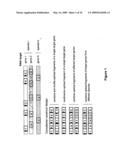 Rna constructs diagram and image