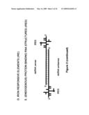 Rna constructs diagram and image