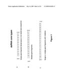 Rna constructs diagram and image