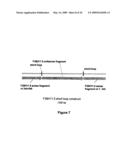 Rna constructs diagram and image