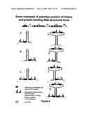 Rna constructs diagram and image