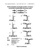 Rna constructs diagram and image