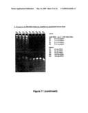 Rna constructs diagram and image