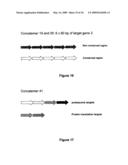 Rna constructs diagram and image