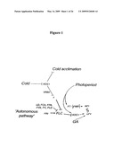 Plant Vernalization Independence (VIP) Genes, Proteins, and Methods Of Use diagram and image