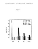 Plant Vernalization Independence (VIP) Genes, Proteins, and Methods Of Use diagram and image