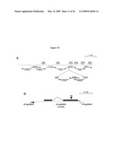 Plant Vernalization Independence (VIP) Genes, Proteins, and Methods Of Use diagram and image