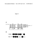 Plant Vernalization Independence (VIP) Genes, Proteins, and Methods Of Use diagram and image