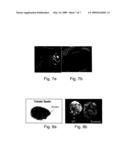 Polynucleotides and polypeptides involved in plant fiber development and methods of using same diagram and image