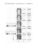 HEAT EXCHANGER diagram and image