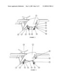 Motorised Airplane with Mixed Hydrodynamic and Aerodynamic Structure for Take-Off and Landing on Water, Ground or Snow diagram and image