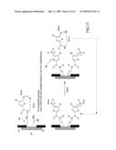 PI-CONJUGATED MOLECULES diagram and image