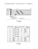 STORAGE MEDIUM, REPRODUCING METHOD, AND RECORDING METHOD diagram and image