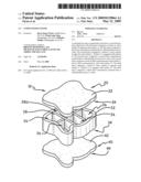 CEMENTITIOUS PAVER diagram and image