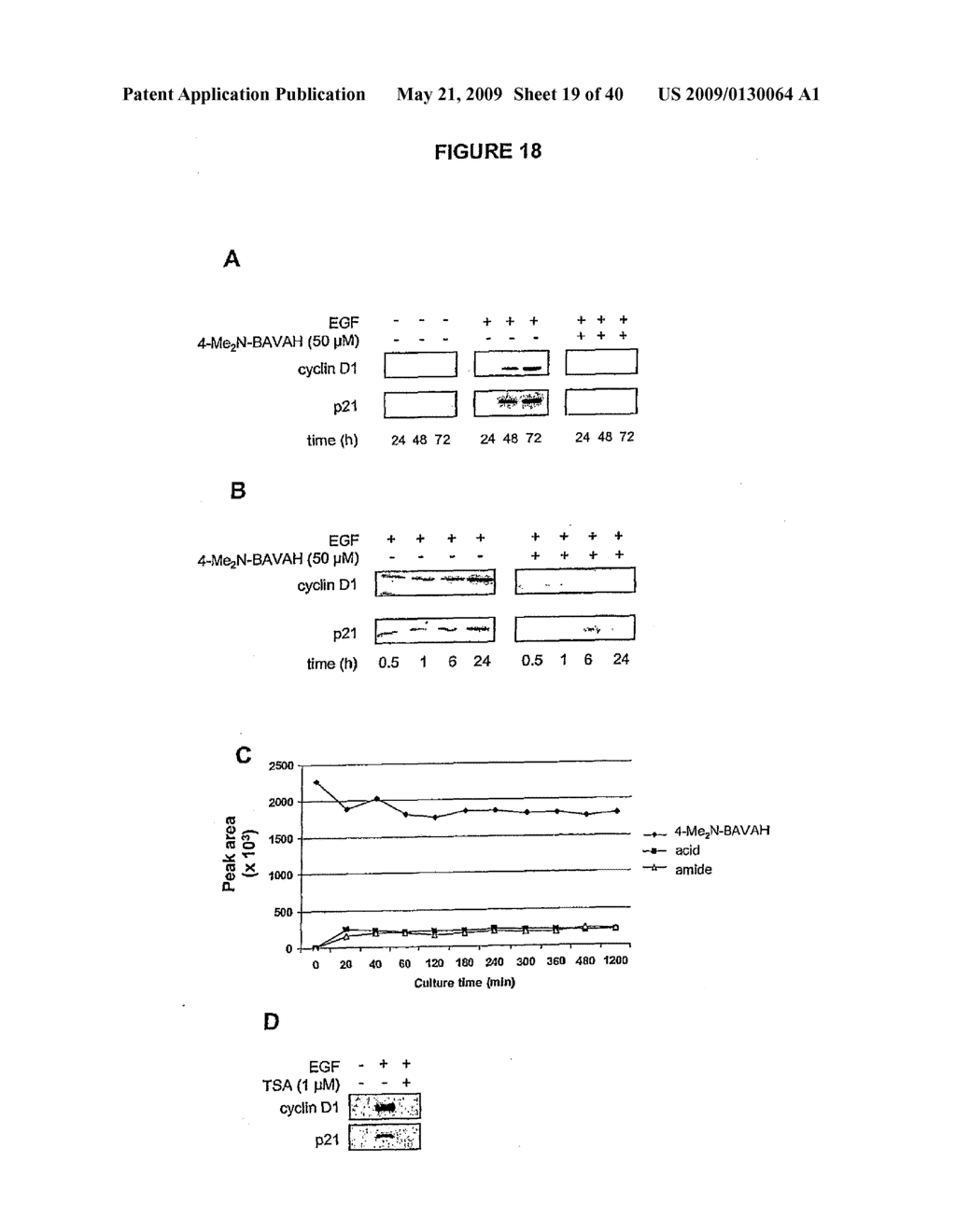 DIFFERENTIATION OF STEM CELLS AND STABILIZATION OF PHENOTYPICAL PROPERTIES OF PRIMARY CELLS - diagram, schematic, and image 20