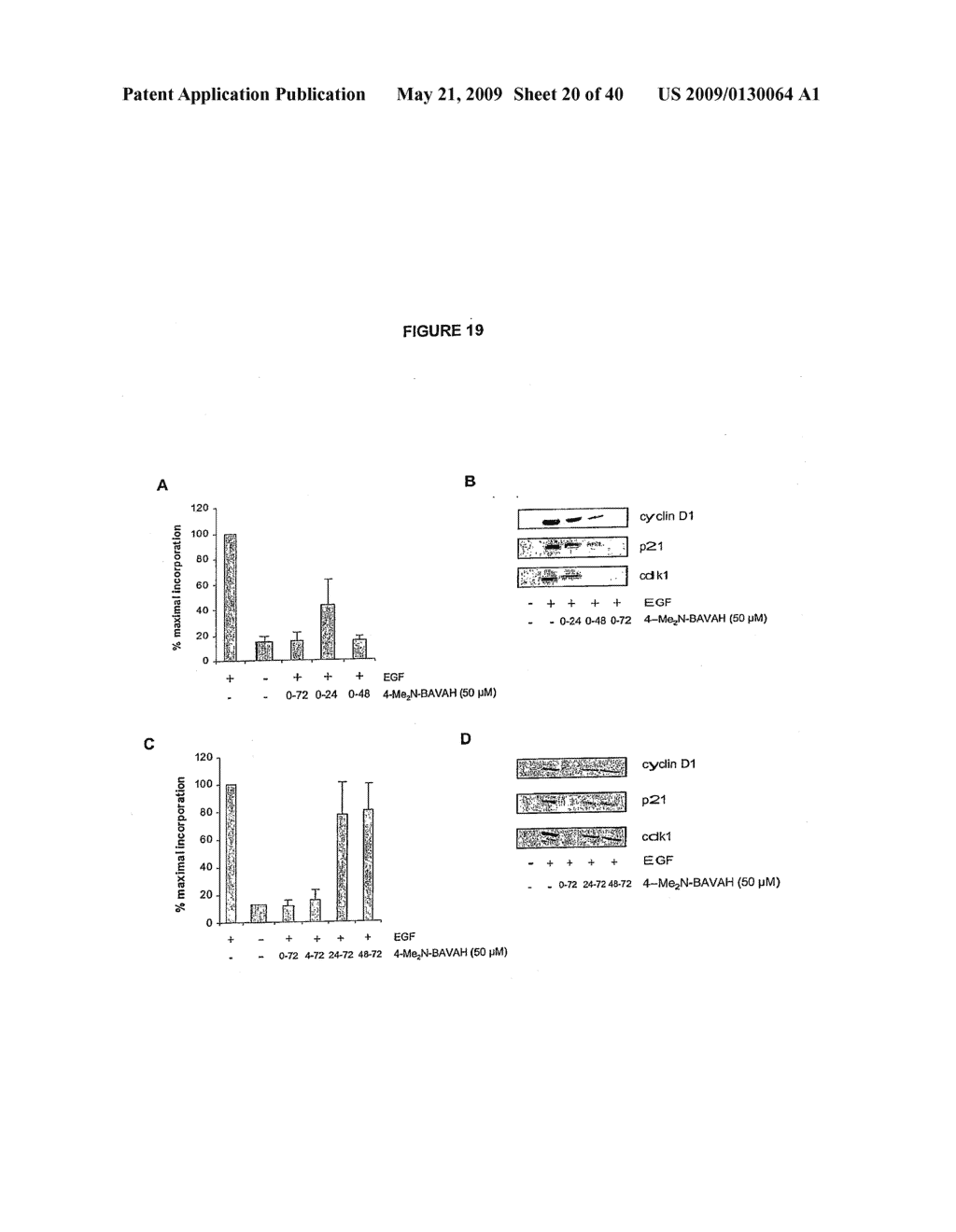 DIFFERENTIATION OF STEM CELLS AND STABILIZATION OF PHENOTYPICAL PROPERTIES OF PRIMARY CELLS - diagram, schematic, and image 21