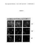 DIFFERENTIATION OF STEM CELLS AND STABILIZATION OF PHENOTYPICAL PROPERTIES OF PRIMARY CELLS diagram and image