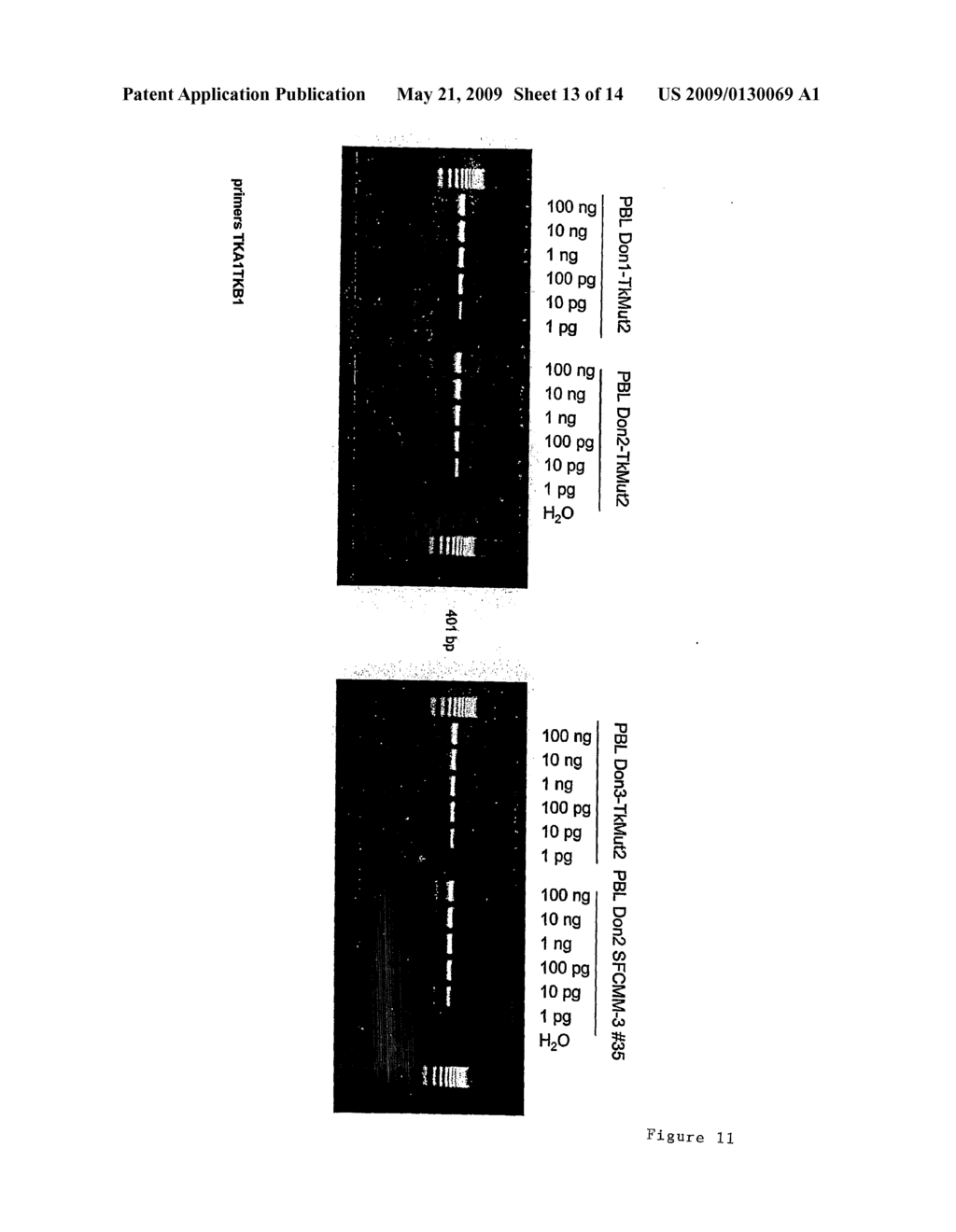 Thymidine Kinase - diagram, schematic, and image 14