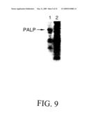 PLACENTAL ALKALINE PHOSPHATASE TO CONTROL DIABETES diagram and image