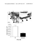 METHODS OF USING HUMANIZED ANTIBODIES AND COMPOSITIONS FOR BINDING SPHINGOSINE-1-PHOSPHATE diagram and image