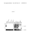 INTERLEUKIN-22 POLYPEPTIDES, NUCLEIC ACIDS ENCODING THE SAME AND METHODS FOR THE TREATMENT OF PANCREATIC DISORDERS diagram and image