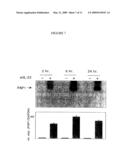 INTERLEUKIN-22 POLYPEPTIDES, NUCLEIC ACIDS ENCODING THE SAME AND METHODS FOR THE TREATMENT OF PANCREATIC DISORDERS diagram and image