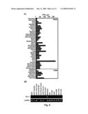 DCL-1 and uses thereof diagram and image