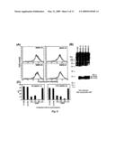 DCL-1 and uses thereof diagram and image