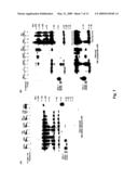 DCL-1 and uses thereof diagram and image