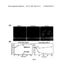 DCL-1 and uses thereof diagram and image