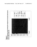 SCUTELLARIA BARBATA EXTRACT AND COMBINATIONS FOR THE TREATMENT OF CANCER diagram and image