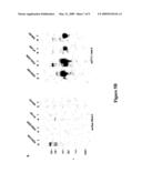 Chondroitin Sulphate a Binding Domains diagram and image