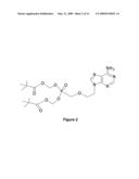 VARIANTS OF HEPATITIS B VIRUS WITH RESISTANCE TO ANTI-VIRAL NUCLEOSIDE AGENTS AND APPLICATIONS THEREOF diagram and image