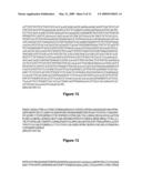 VARIANTS OF HEPATITIS B VIRUS WITH RESISTANCE TO ANTI-VIRAL NUCLEOSIDE AGENTS AND APPLICATIONS THEREOF diagram and image